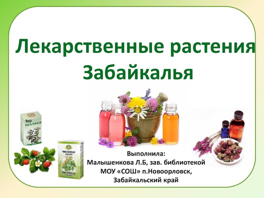 Забайкальская лекарственные растения