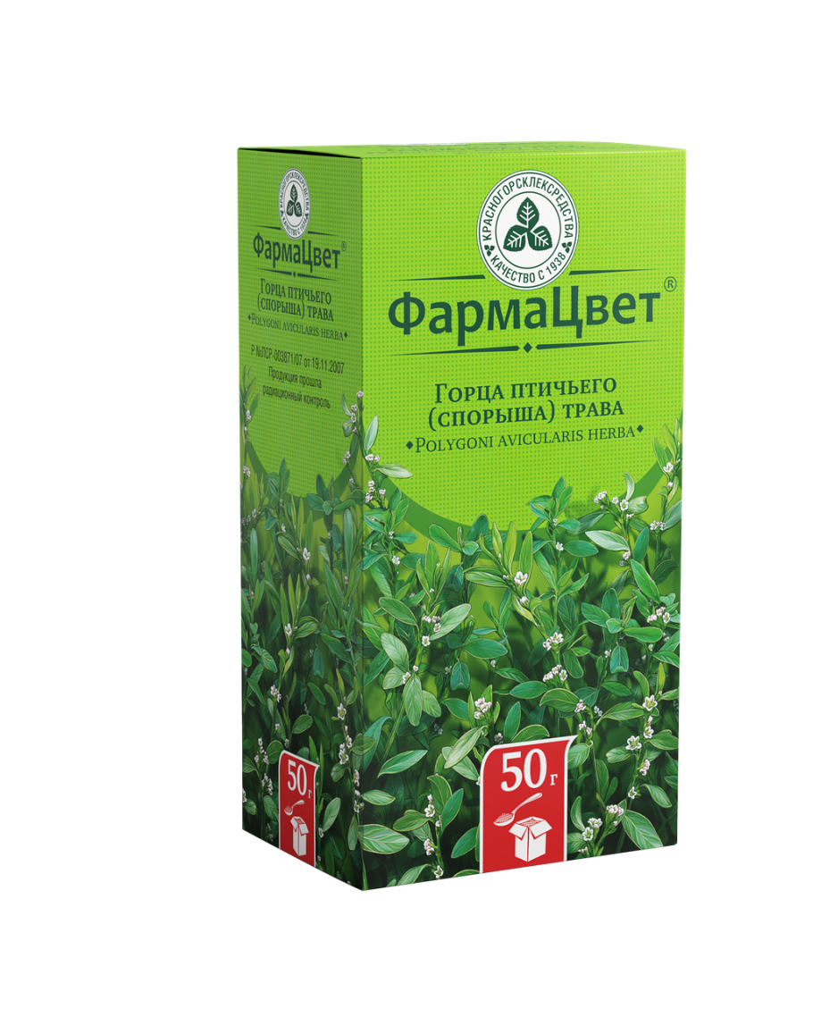 Горец птичий Polygonum aviculare всходы