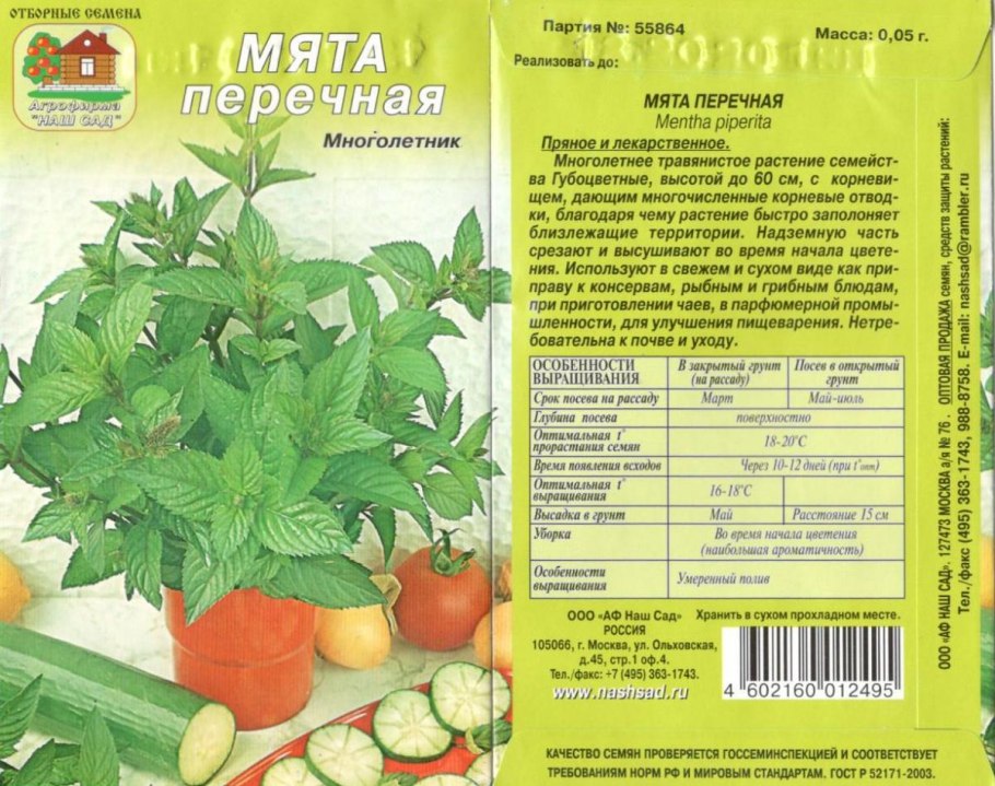 Мята овощная забава