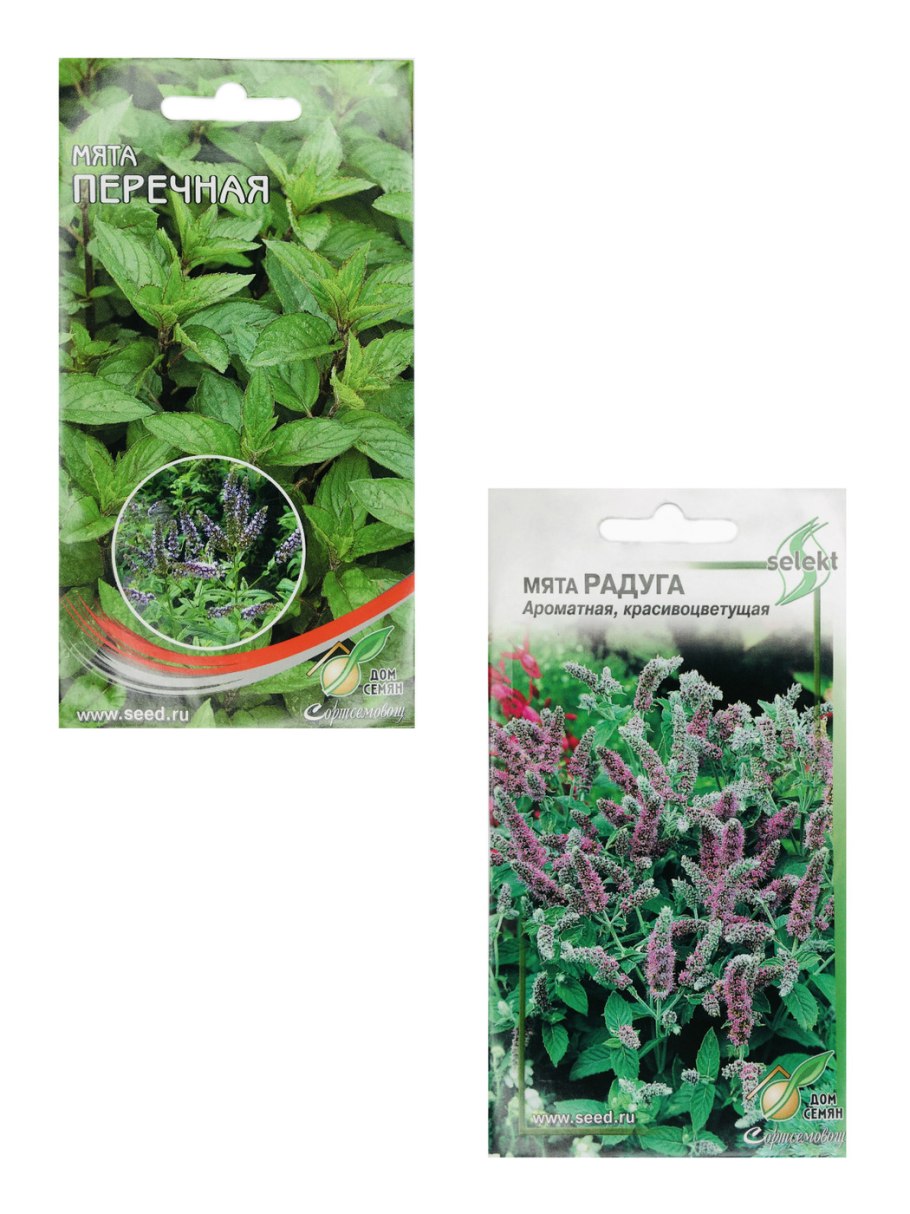 Мята перечная чай