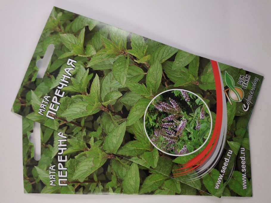 Мята лекарственная смесь сортов СЕДЕК