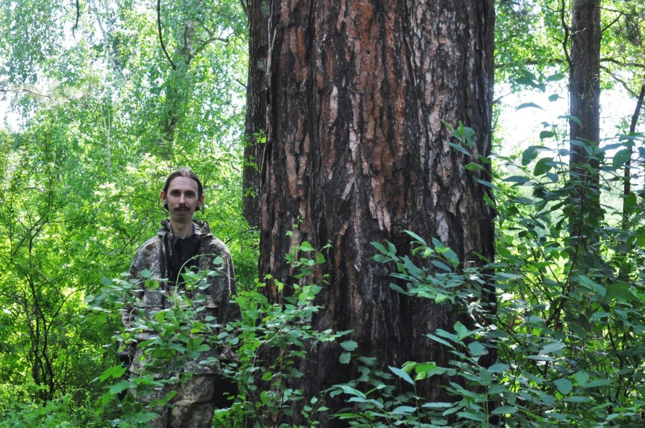 Национальный парк «Секвойя», штат Калифорния, США