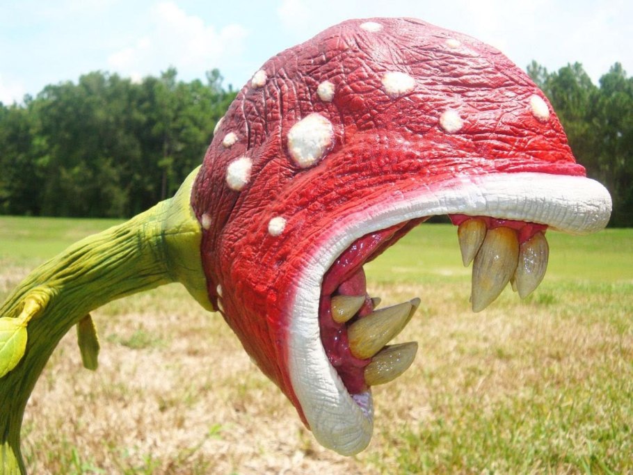 Росянка непентес