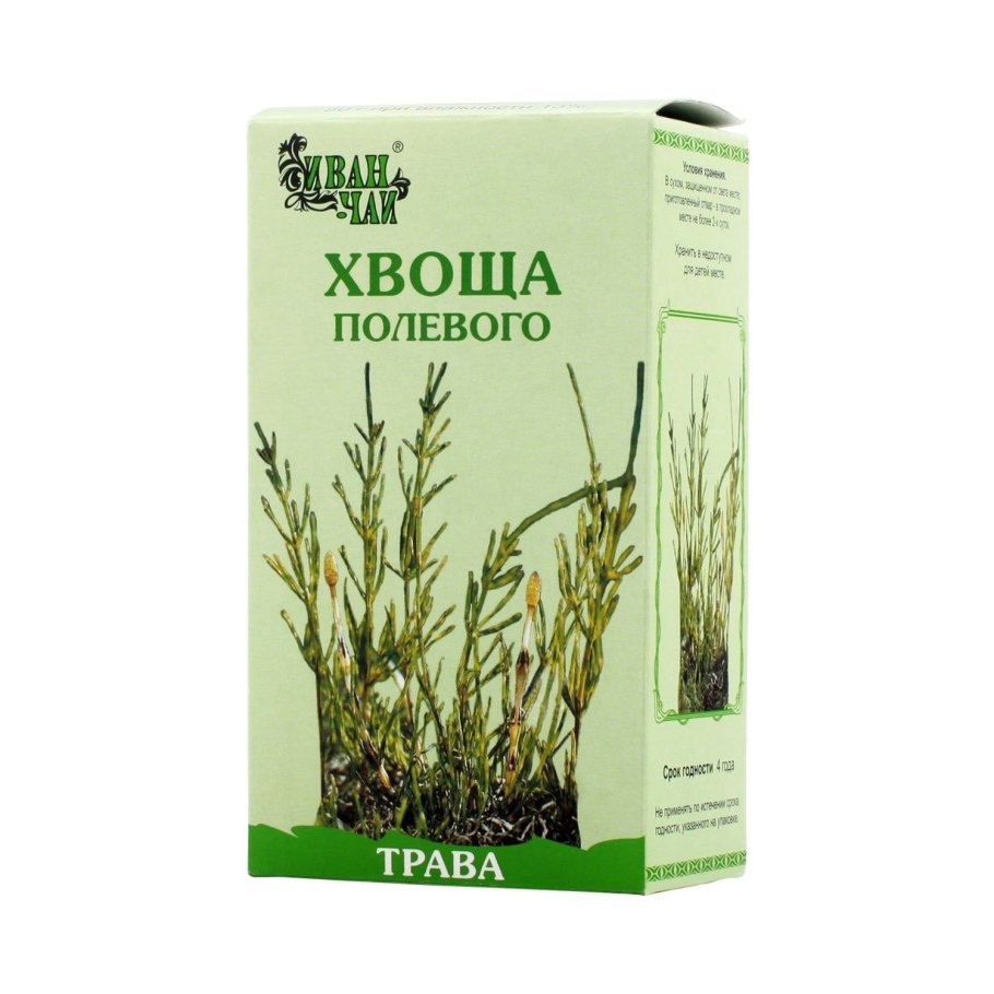 Хвощ казацкий