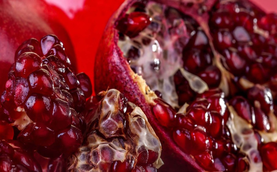 Гранат открытый