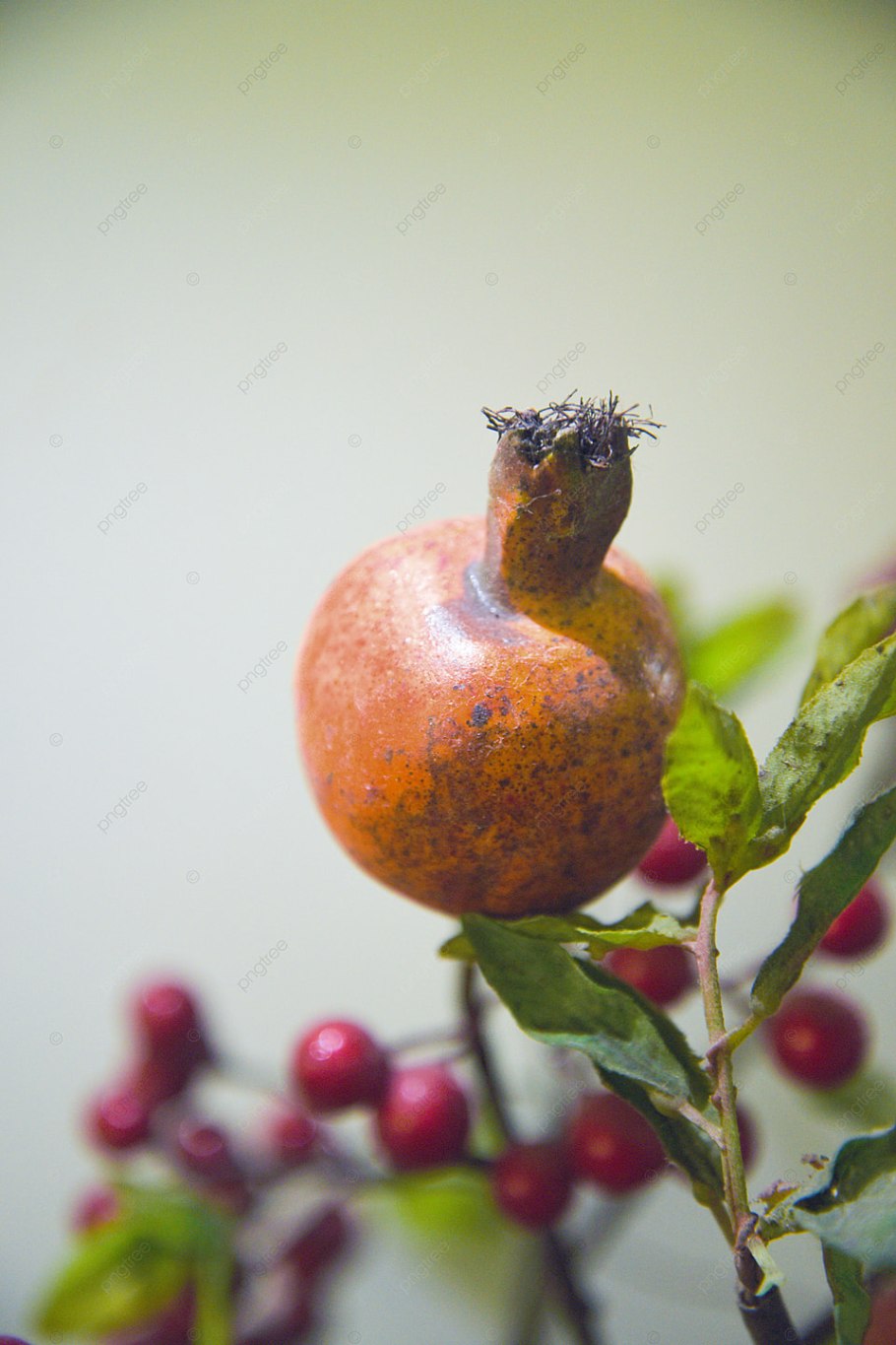 Макро фрукты