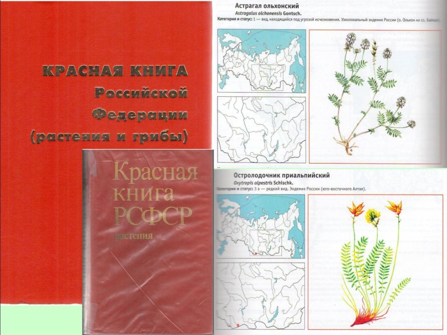 Красная книга Воронежской области том 2