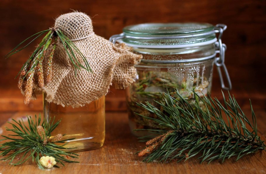 Мед с хвоей