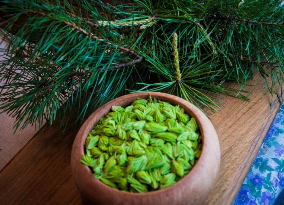 Хвойный чай