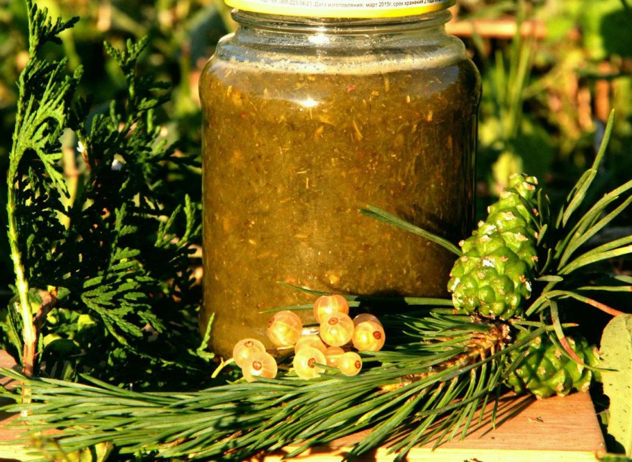 Шишки пицундской сосны варенье