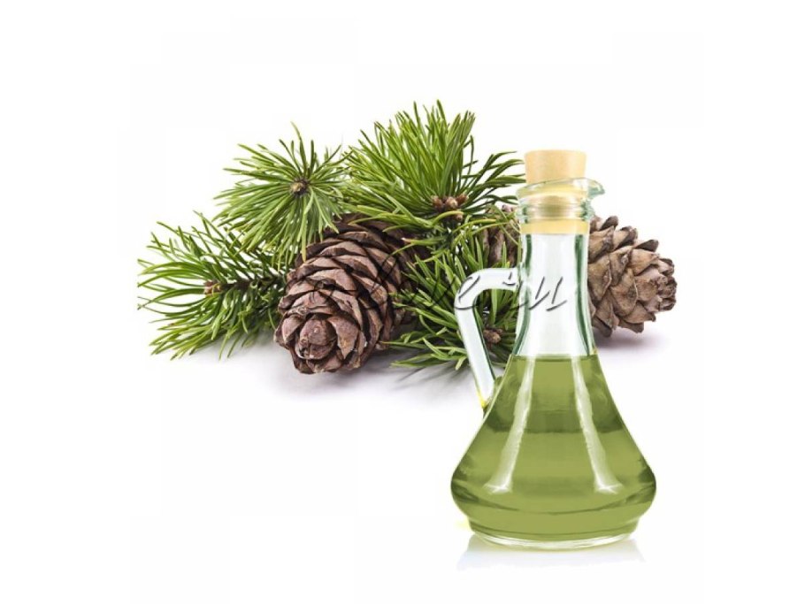 Отвар пихты