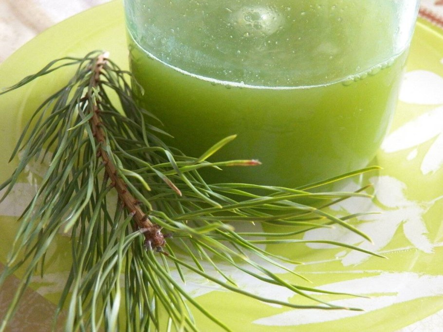 Чай Сибирский Кедровый Иван чай