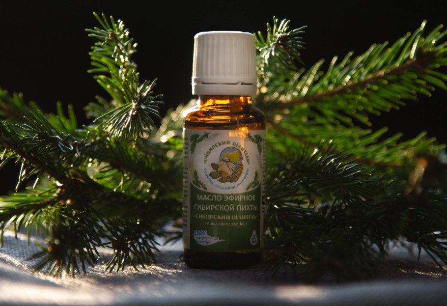 Напиток из хвои