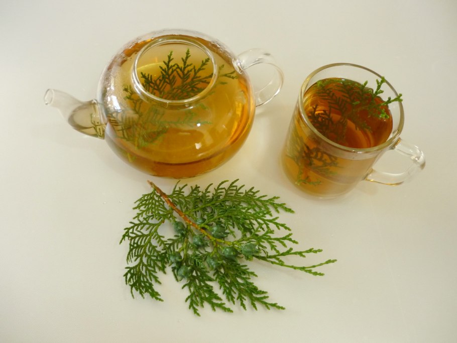 Пихтовый лапник в бане