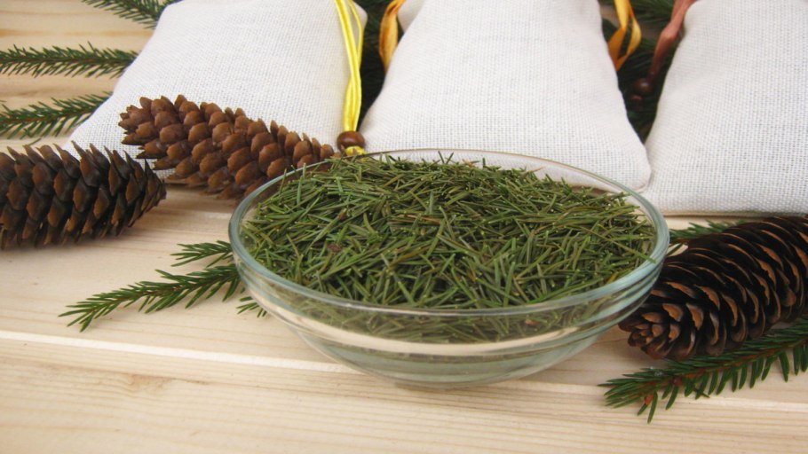 Хвойный чай
