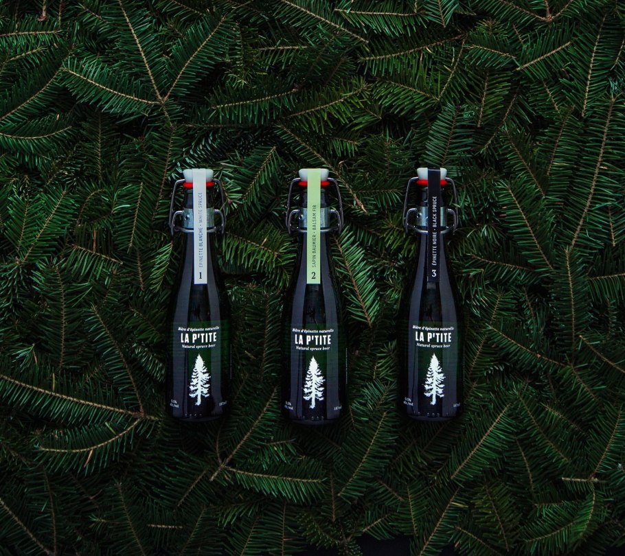 Пейзаж с елками чб