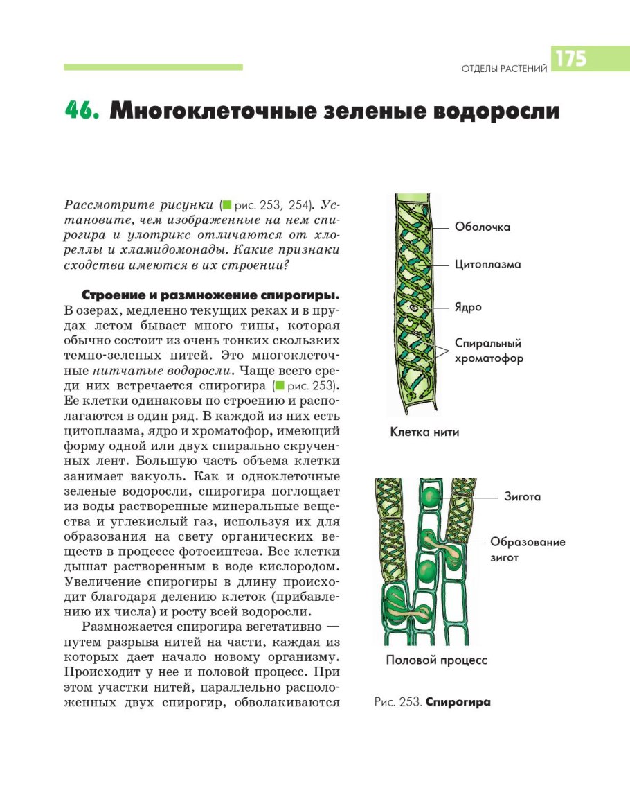 Размножение и многообразие водорослей