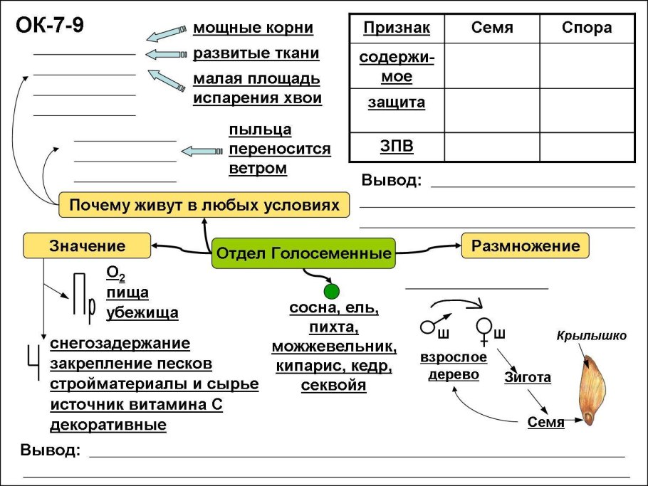 Интеллект карта размножение растений