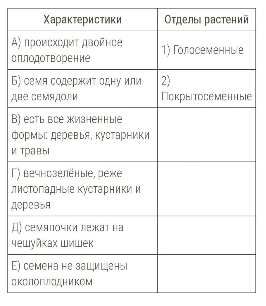 Характеристика отделов растений