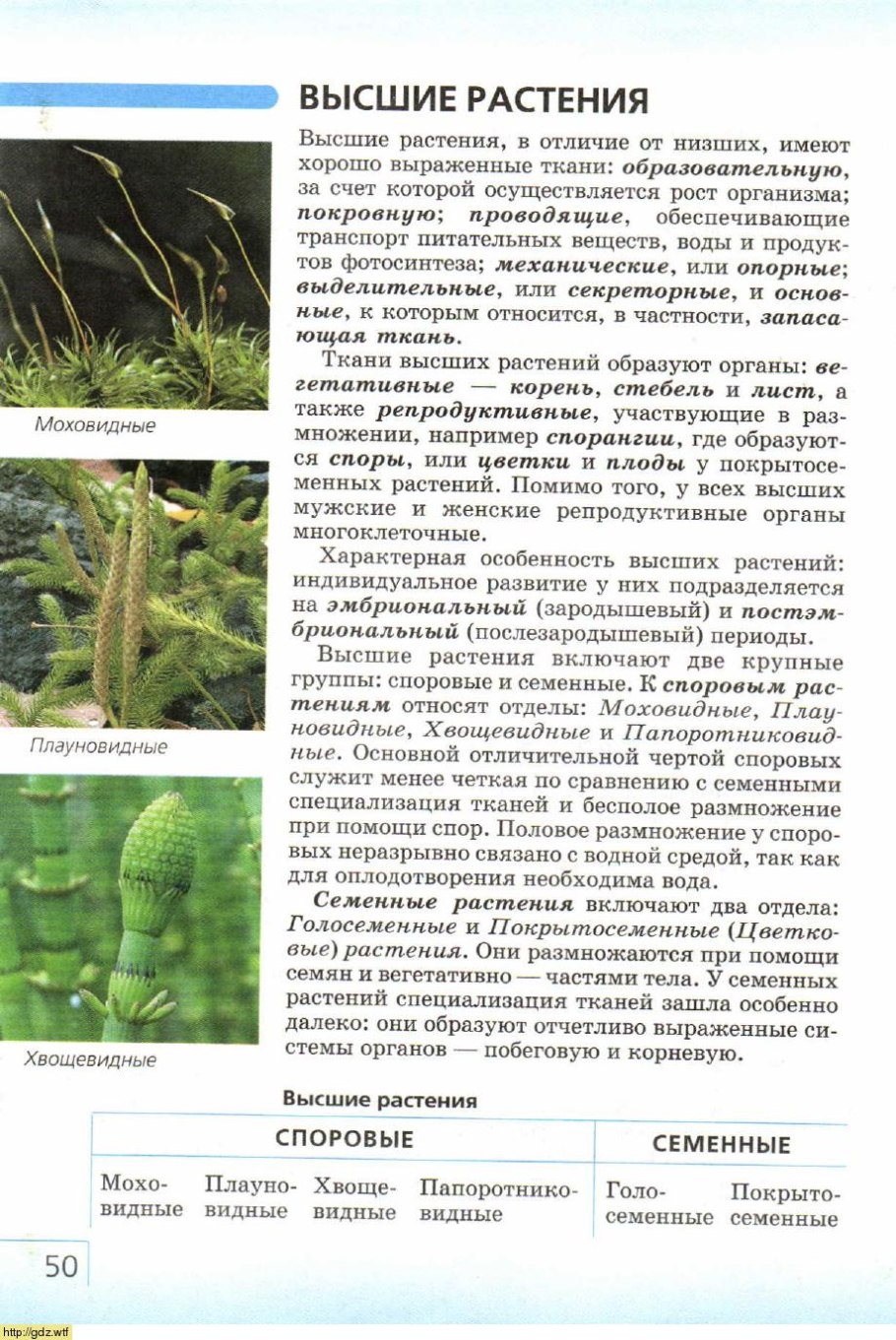 Высшие растения споровые и семенные таблица