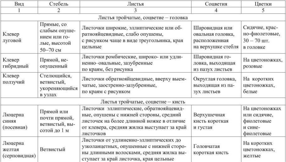 Способы распространения семян моркови
