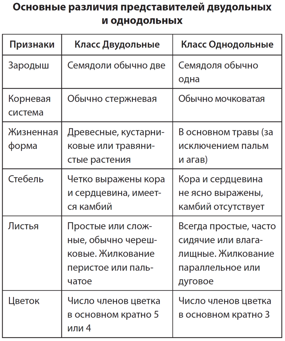 Признаки однодольных и двудольных растений таблица. Отличительные признаки однодольных и двудольных растений таблица. Характерные признаки двудольных и однодольных растений таблица. Характеристика однодольных и двудольных растений таблица.