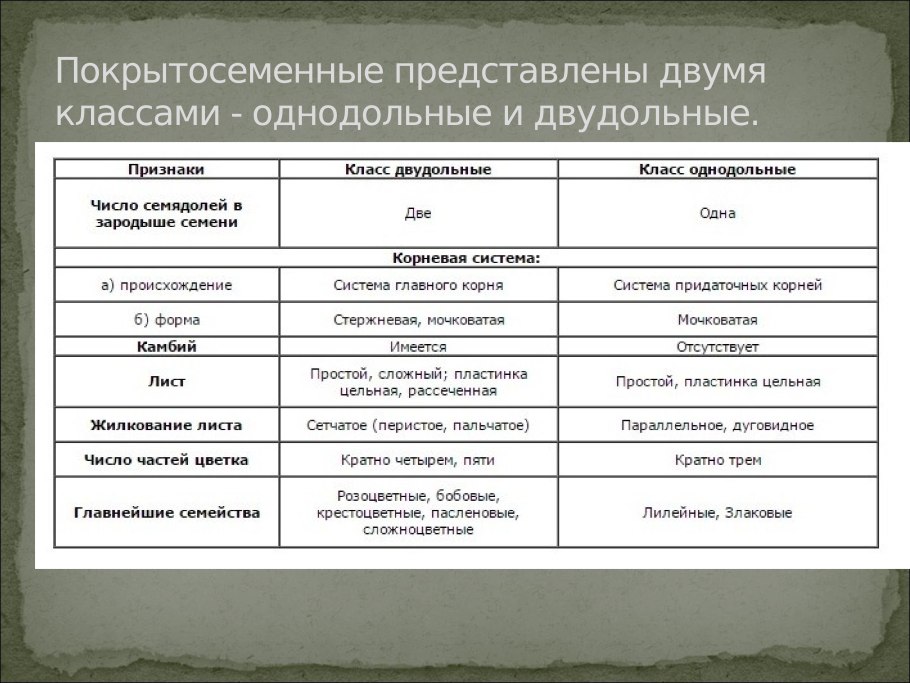 Таблица посева семян овощных культур