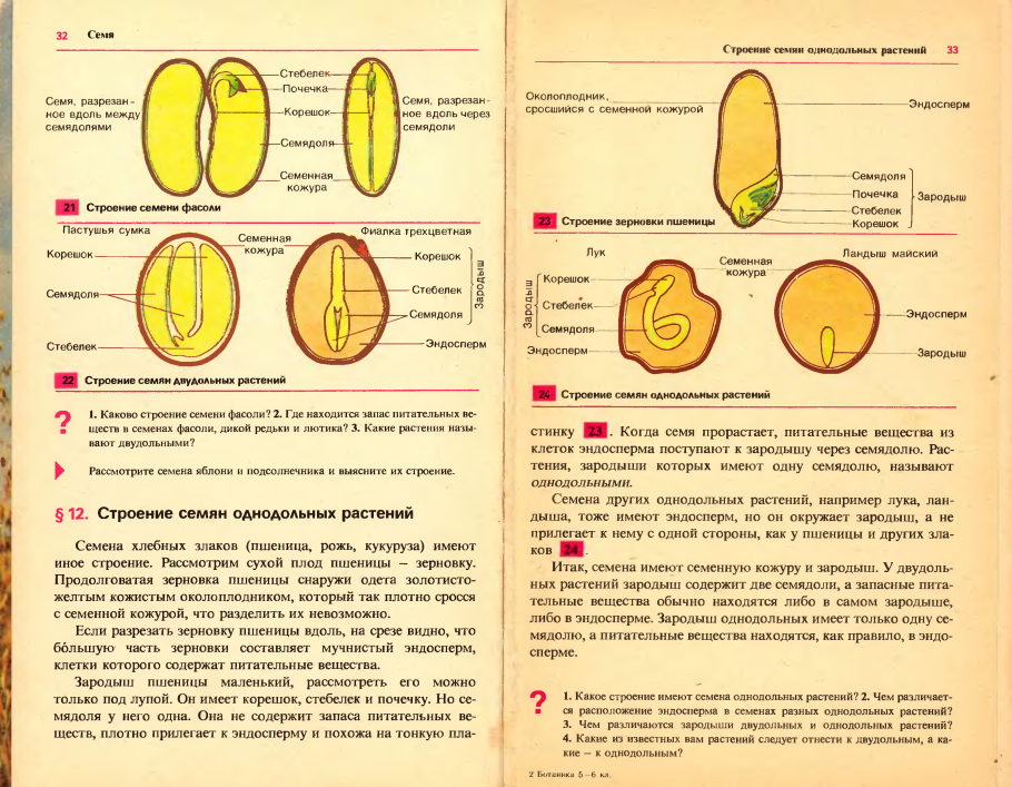 Биология семена односемянные и многосемянные