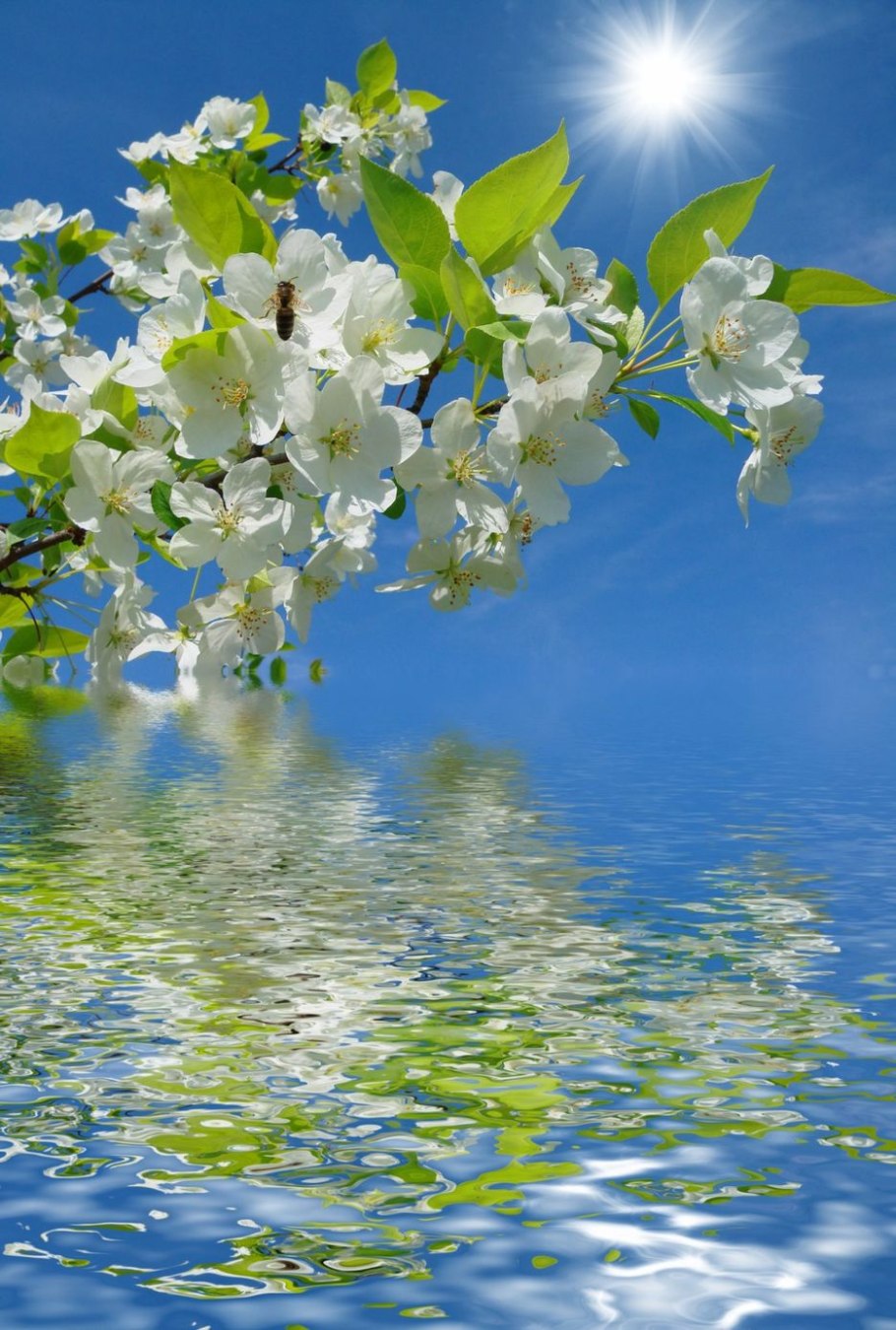 Море желтого цвета