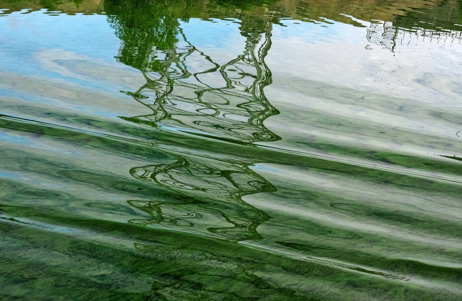 Природа в розовых тонах