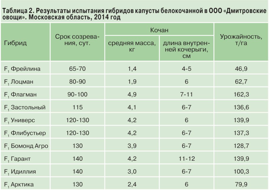 Урожайность капусты белокочанной с 1 га