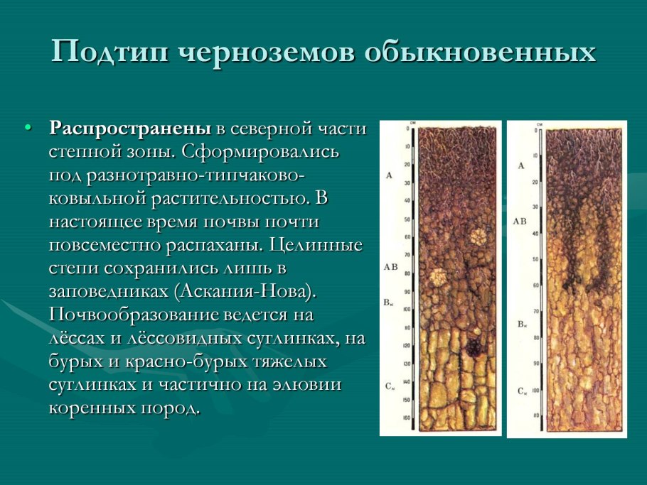 Дерново-подзолистая чернозёмы Тундровая глеевая