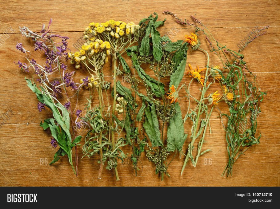 Травы лекари