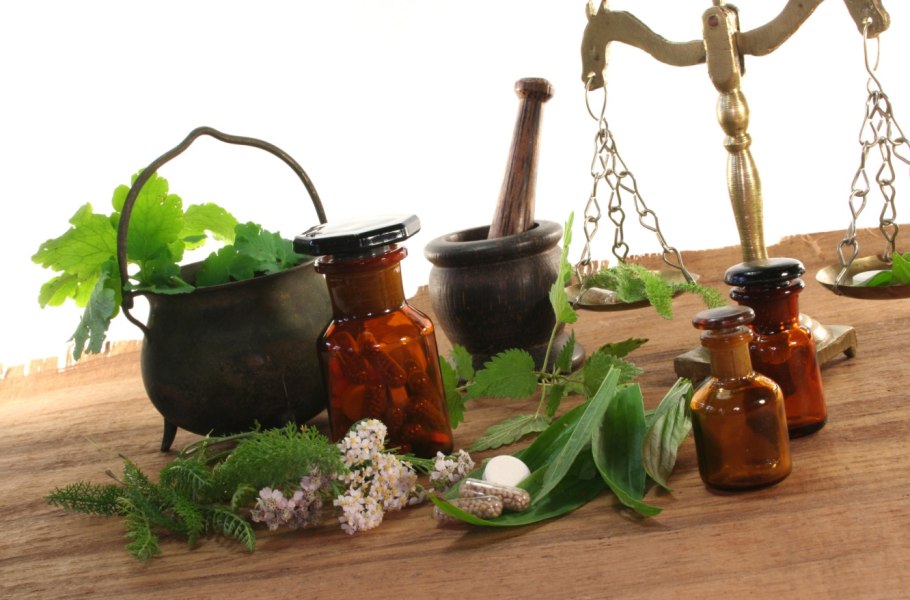 Дреании лекарственные растения