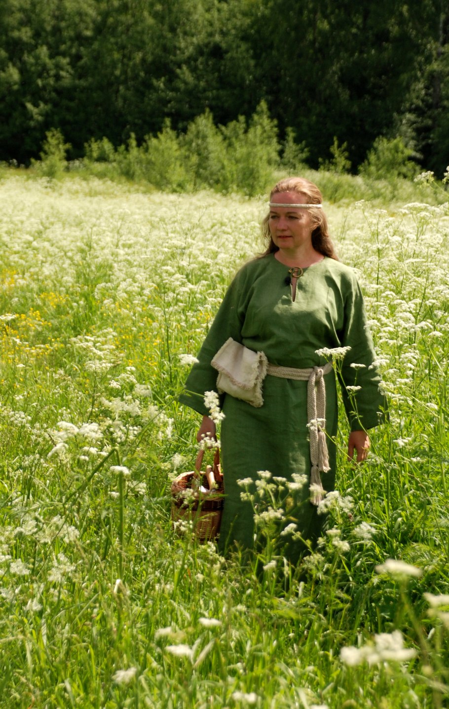 Коты Воители палатка целителя