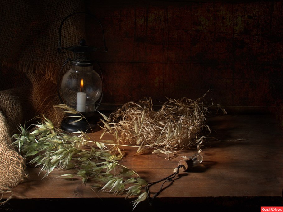 Сергей Турищев фитотерапевт