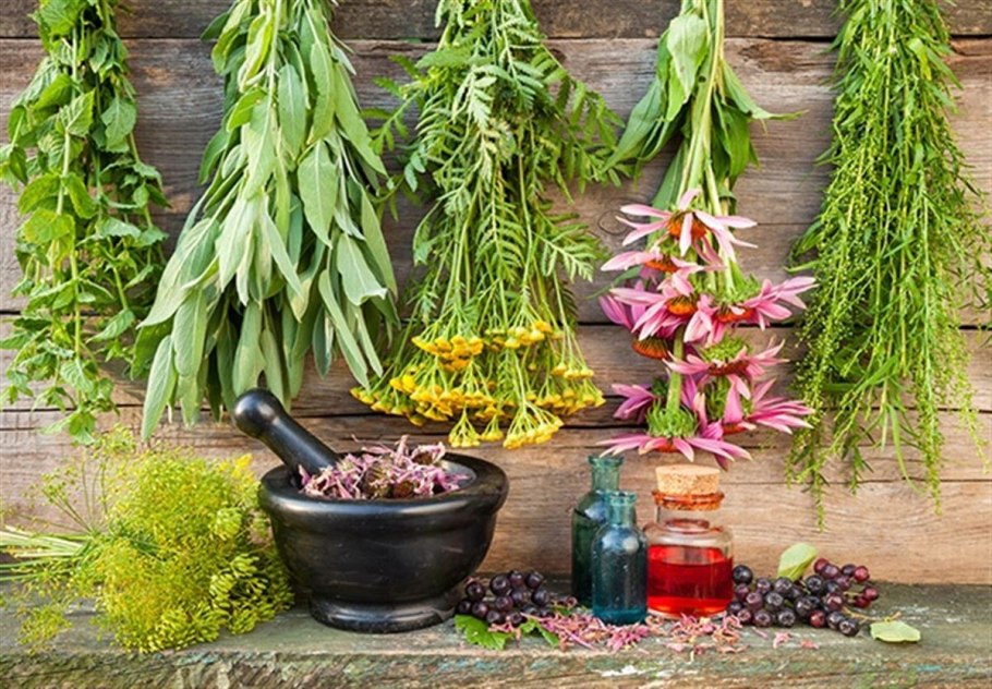 Знахарка на домашнем