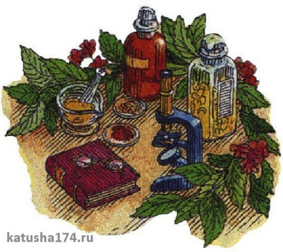 Растения целители