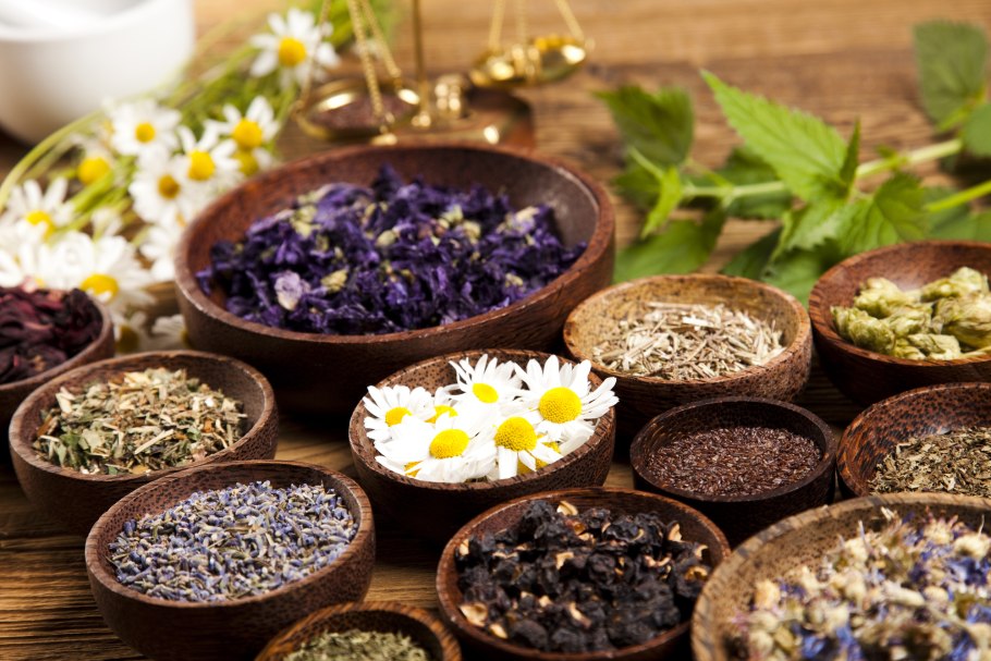 Лекарственные растения