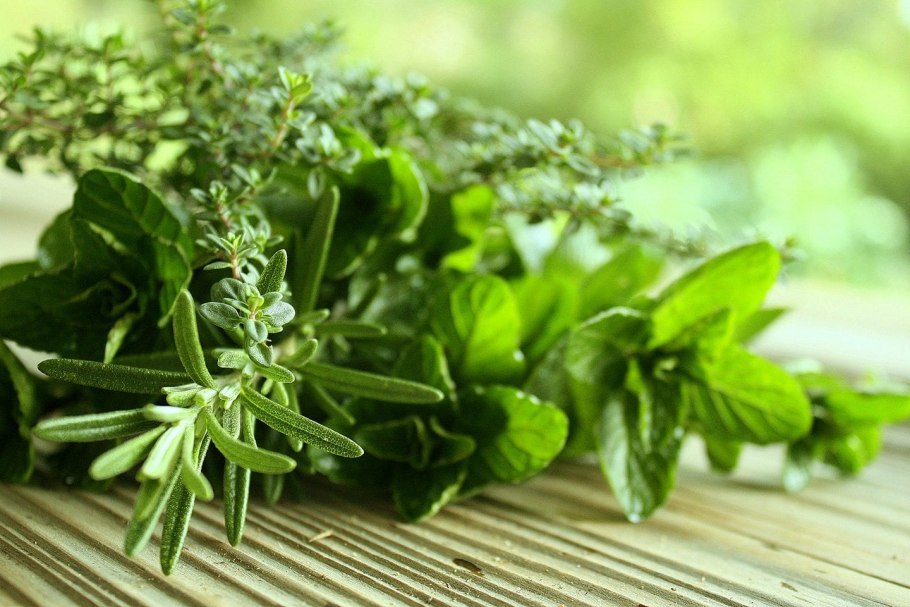 Знахарка сериал на домашнем 2020