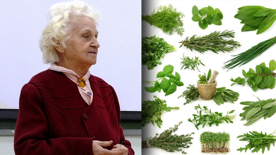 Лекарственные травы ароматические