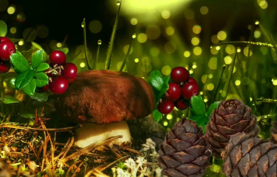 Мухомор пантерный