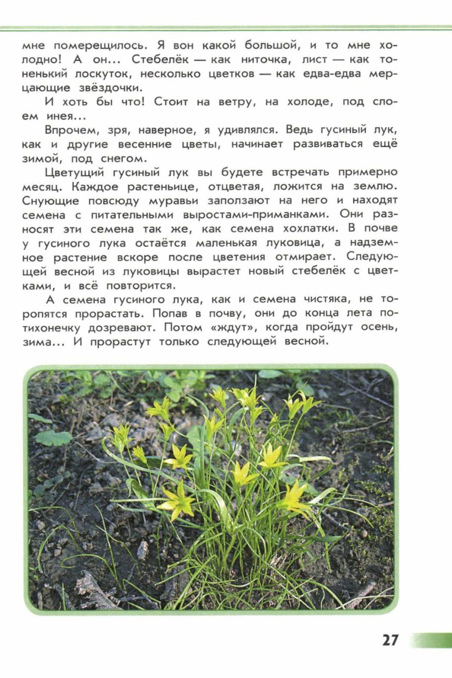 Зелёная книга растений