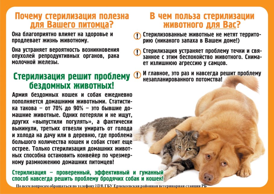 Прививки щенкам схема вакцинации