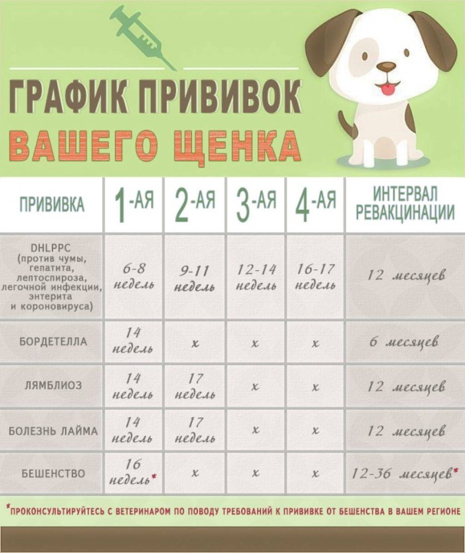 Прививки щенкам