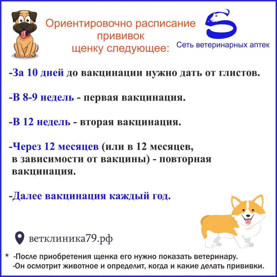 Улучшенная копулировка яблони
