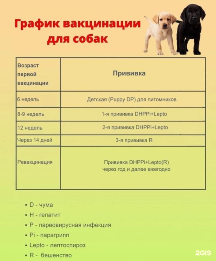 Прививки растений окулировка