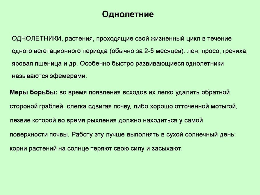 Как называются однолетние растения, имеющие короткий жизненный цикл?