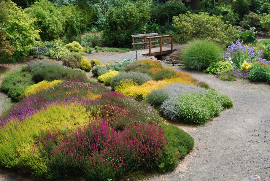 Рокарий с почвопокровными под деревом