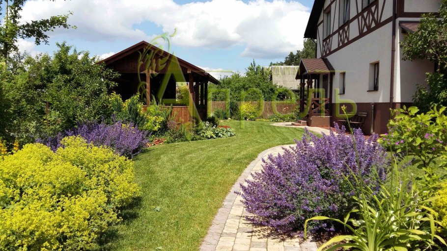 Флокс шиловидный в миксбордере